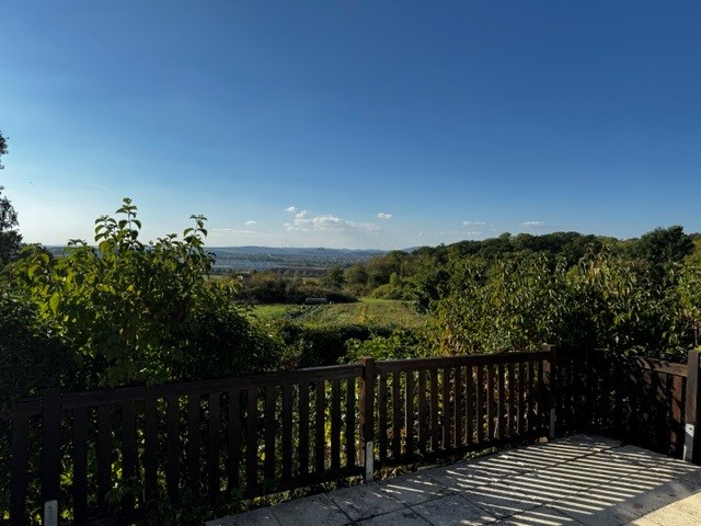 Ausblick ins Grüne