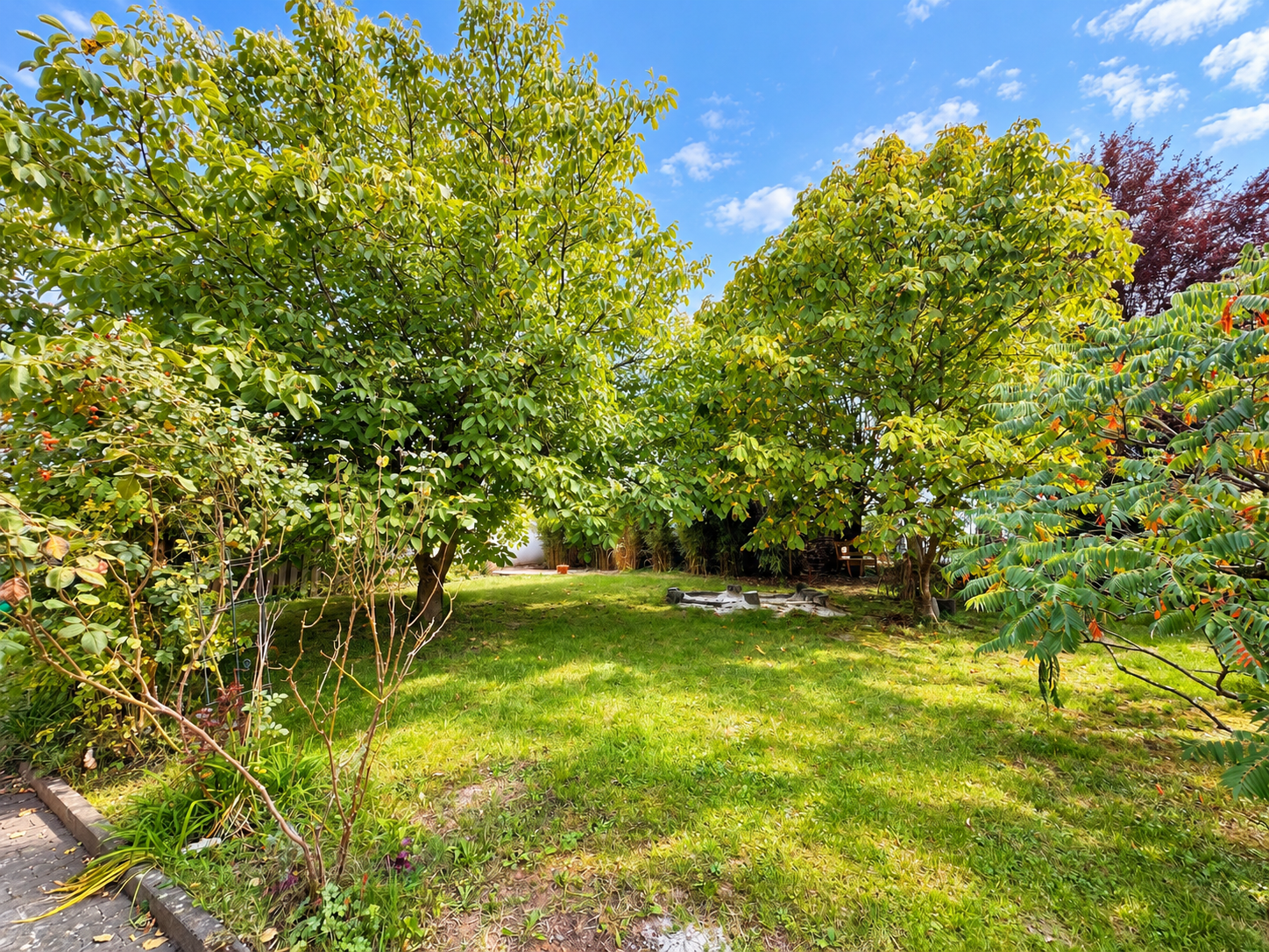 Garten hinten